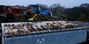 Rodent Control for Rats & Mice Warrington