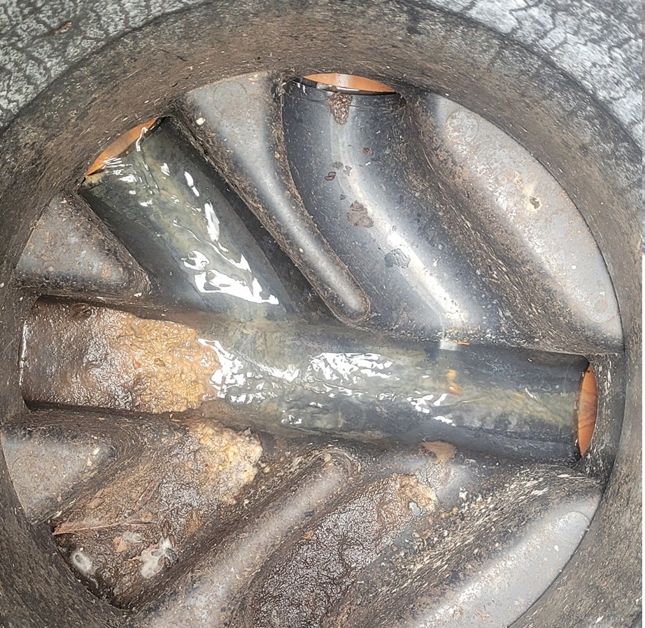 Drainage Solutions for Rodent Issues