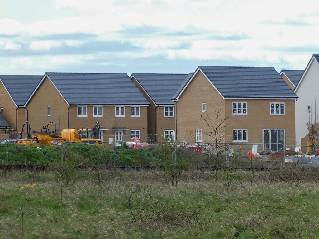 Book Lice in New Builds