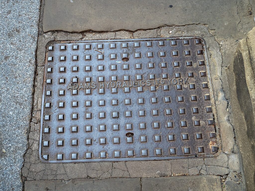 Drains and Rodents