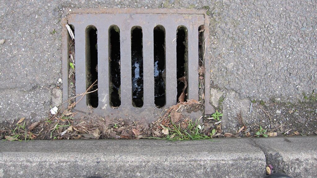 Gullies and Rats