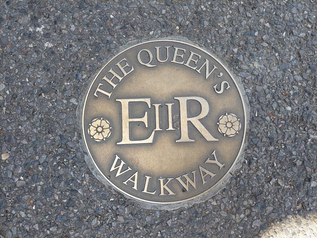 Rats Coming Through the Drains?