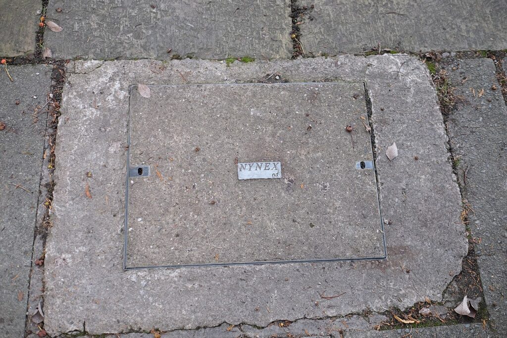 Rats in Drains & Wall Cavities